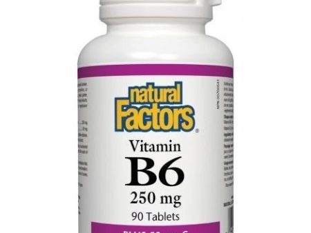 Natural factors - vitamin b6 with vitamin c - 90 tabs Hot on Sale