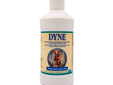 Dyne High Calorie Supplement Cheap