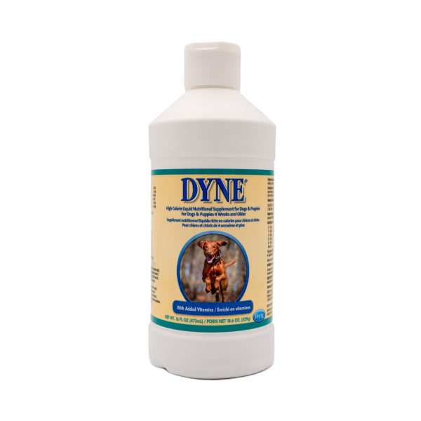 Dyne High Calorie Supplement Cheap