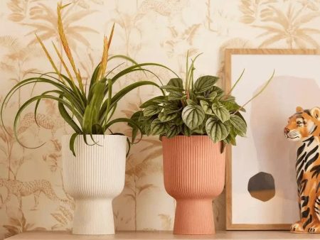 Elho Vibes Coupe Planter Hot on Sale