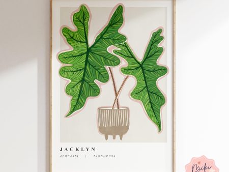 Alocasia Jacklyn Art Print Supply