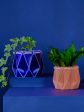 POTR Navy Self-Watering Pot on Sale