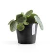 Ecopots Amsterdam Recycled Plastic Pot Black Online