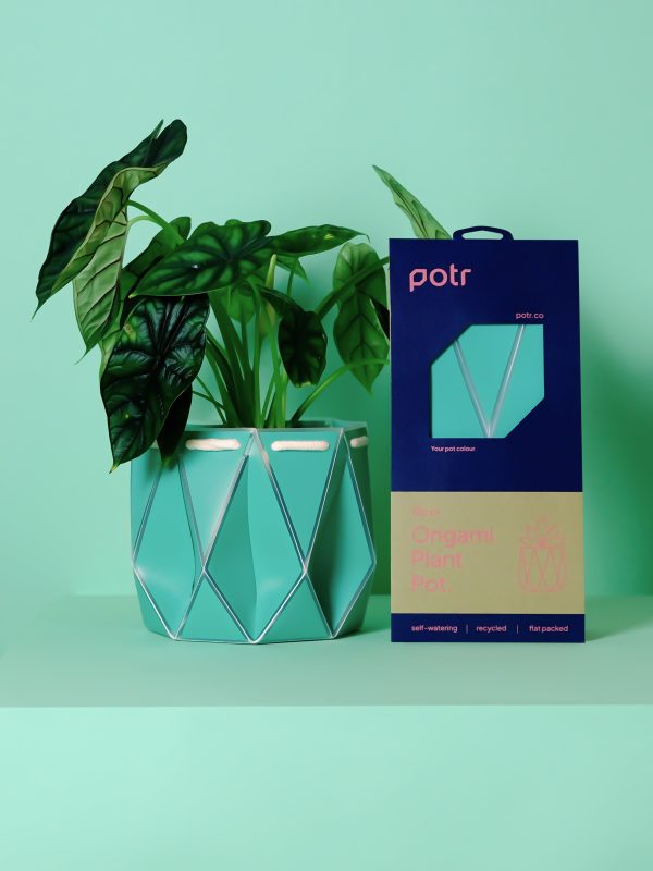 POTR Aqua Self-Watering Pot Cheap