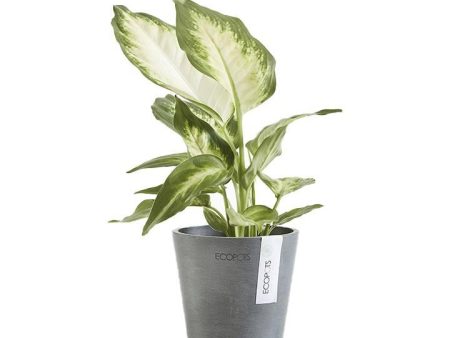 Ecopots Amsterdam Recycled Plastic Pot Grey Cheap