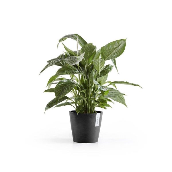 Ecopots Amsterdam Recycled Plastic Pot Black Online