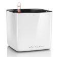 Lechuza CUBE Glossy 16 Self Watering Plant Pot Online Sale