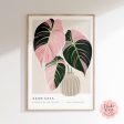 Variegated Alocasia Black Velvet Art Print Online