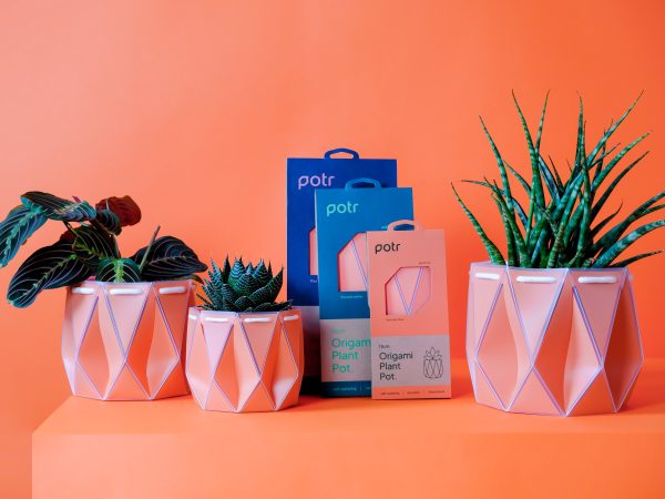 POTR Coral Self-Watering Pot Fashion