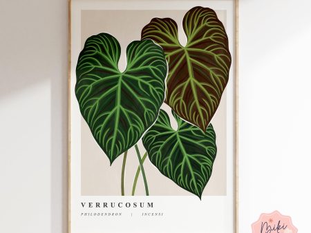 Philodendron Verrucosum Art Print Online Sale