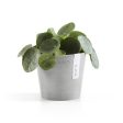 Ecopots Amsterdam Recycled Plastic Pot Light Grey on Sale