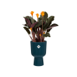 Elho Vibes Coupe Planter Hot on Sale