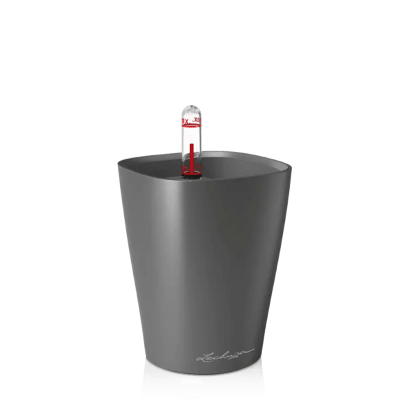 Lechuza MINI DELTINI Self Watering Plant Pot For Discount