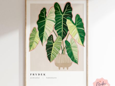 Alocasia Frydek Variegata Art Print Online