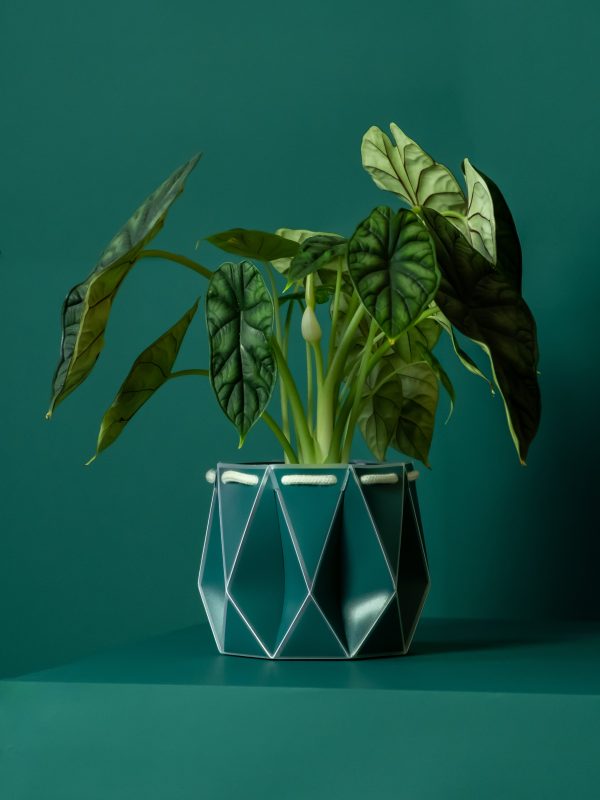 POTR Dark Teal Self-Watering Pot Online