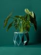 POTR Dark Teal Self-Watering Pot Online