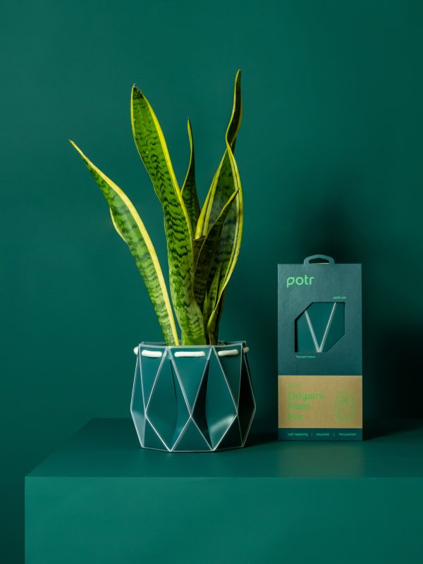 POTR Dark Teal Self-Watering Pot Online