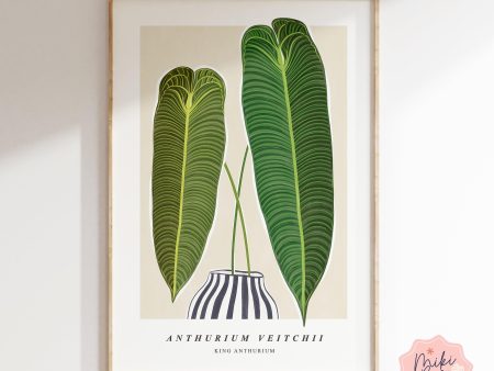 Anthurium Veitchii Art Print Fashion