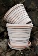 Bergs Potter Planets Pot Rose Discount