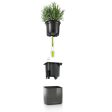 Lechuza CUBE Glossy 16 Self Watering Plant Pot Online Sale