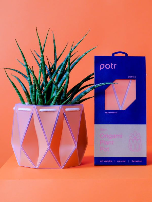 POTR Coral Self-Watering Pot Fashion