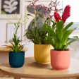 Elho Vibes Fold Round Pot on Sale