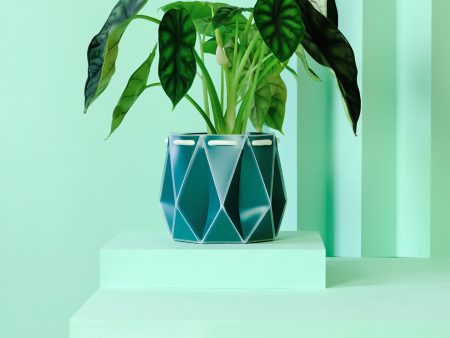 POTR Aqua Self-Watering Pot Cheap