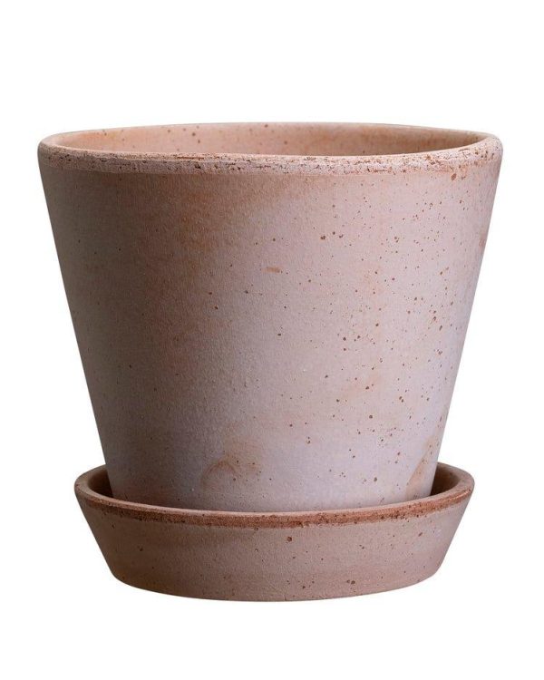 Bergs Potter Julie Pot Rose Online Hot Sale