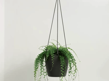 Elho Brussels Hanging Basket Online Sale