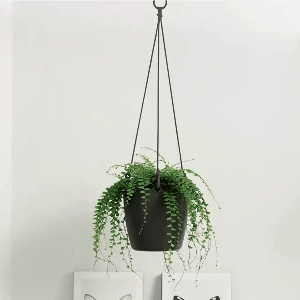 Elho Brussels Hanging Basket Online Sale