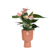 Elho Vibes Coupe Planter Hot on Sale